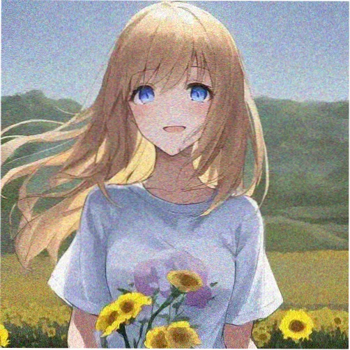 高清影视论坛会员头像一